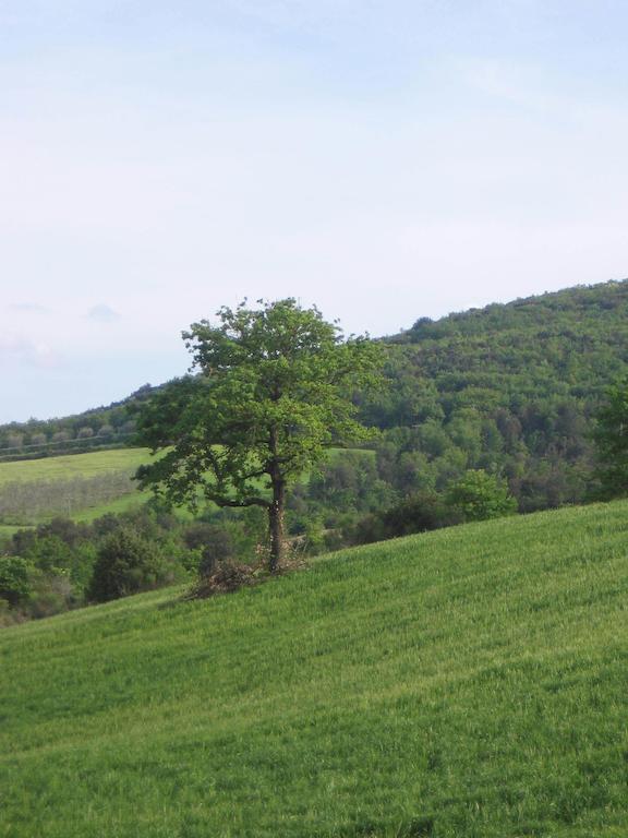 מורלו Villa Righino חדר תמונה